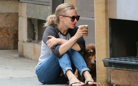 Amanda Seyfried pornstar hd img