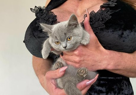 dark skin onlyfans free sex photo