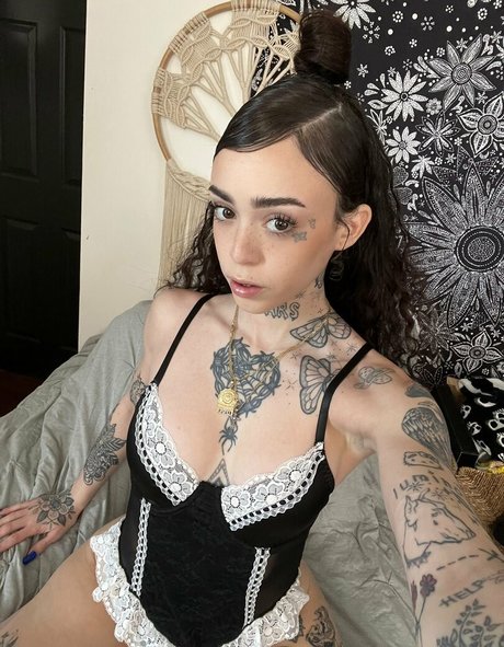 anal couple onlyfans best photo