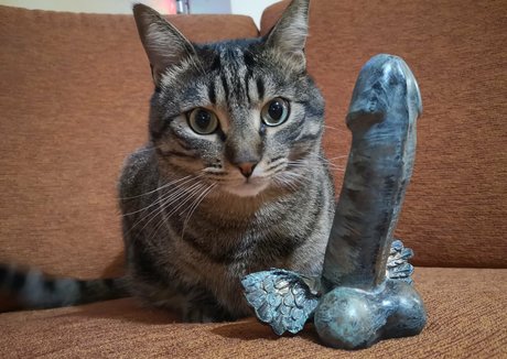 gloryhole wife onlyfans porn img