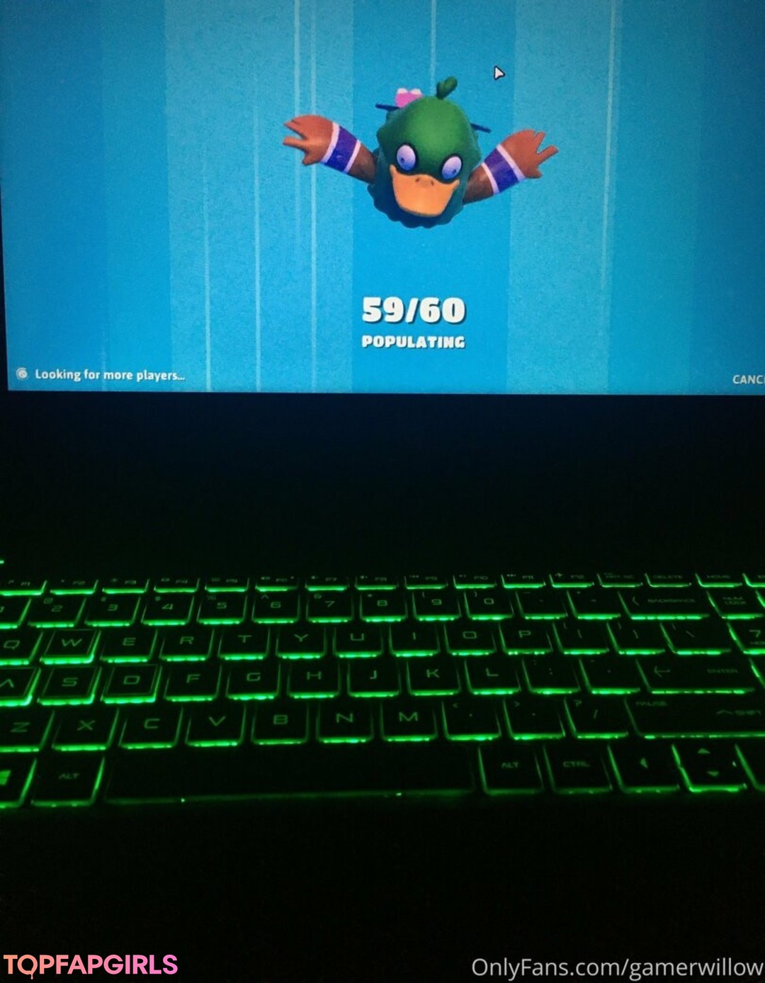 gamerwillow star sexy photos