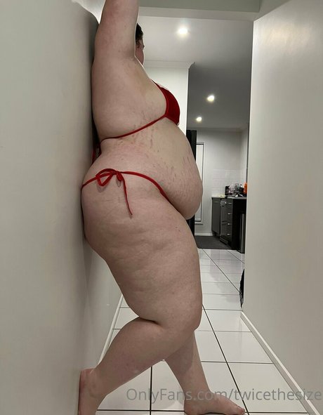 twicethesize art model galleries