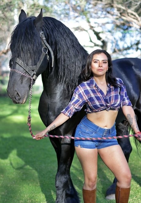 fat shemale onlyfans top archive