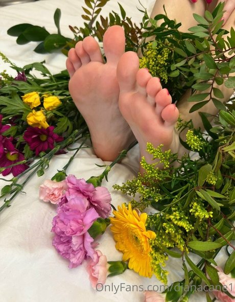 Dianacane1 model img