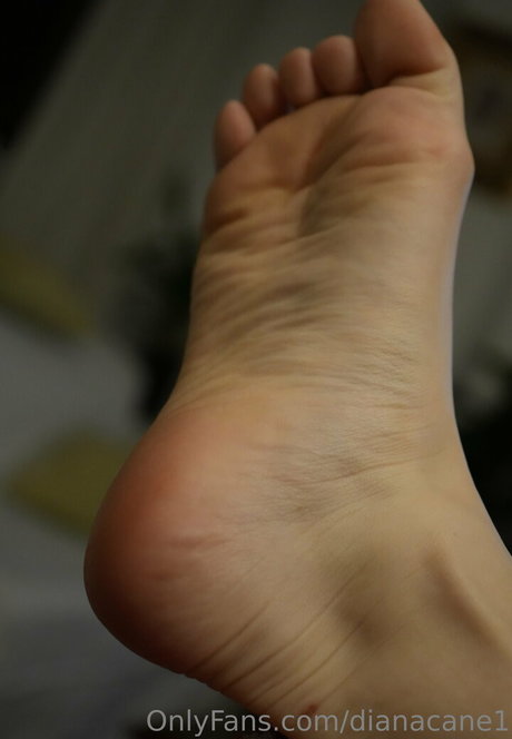 Dianacane1 top pornstar archive