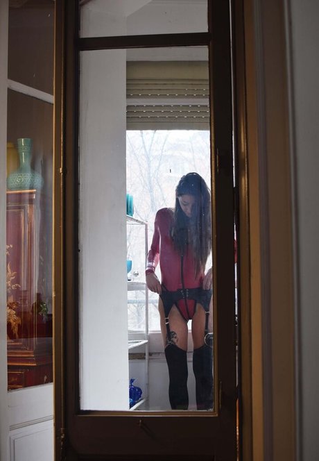 Shinetight best model galleries