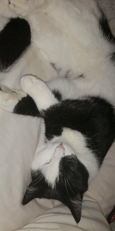 megfish pornstar naked gallery