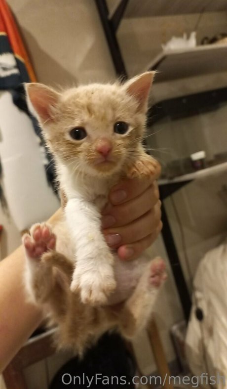 megfish exclusive star img