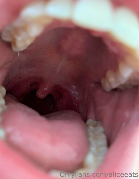 aliceeats star porn archive