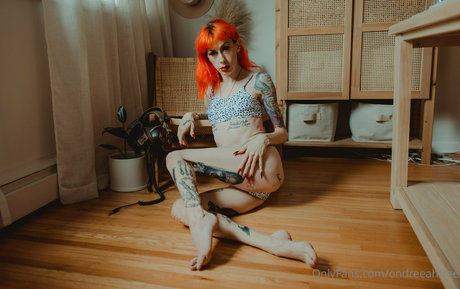 ondreeahfree erotic pornstar galleries