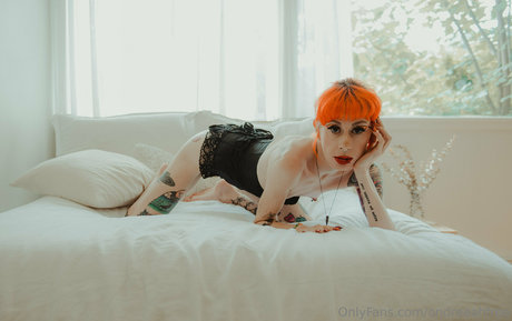 ondreeahfree xxx actress galleries