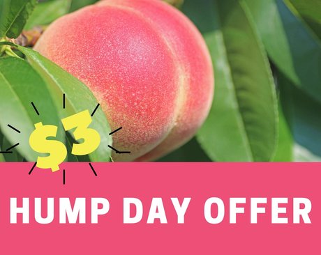 scarlettmrose star porn pictures