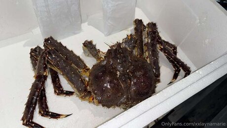 naked yoga onlyfans top galleries