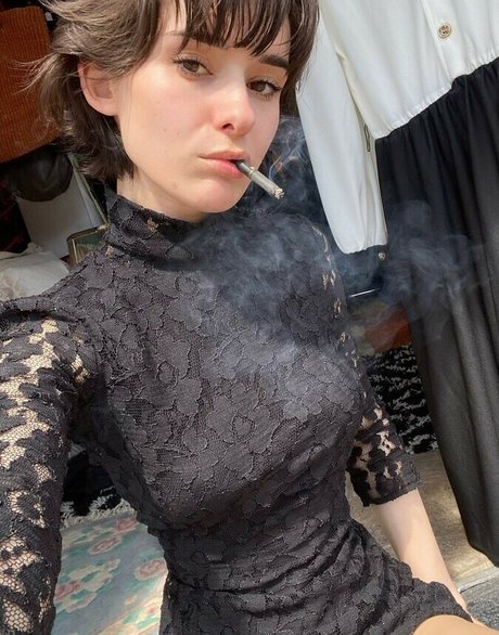 Dyremarxx model top img