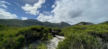 aussiebondagegirl top actress image