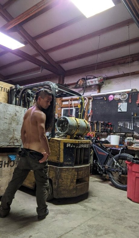 kinkyninjawolf pornstar art archive