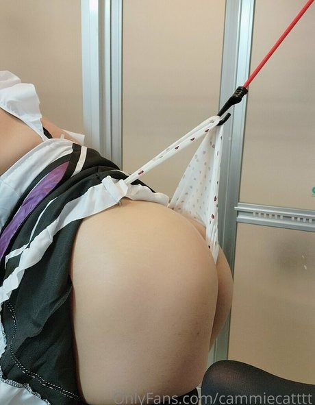 cammiecatttt xxx actress galleries