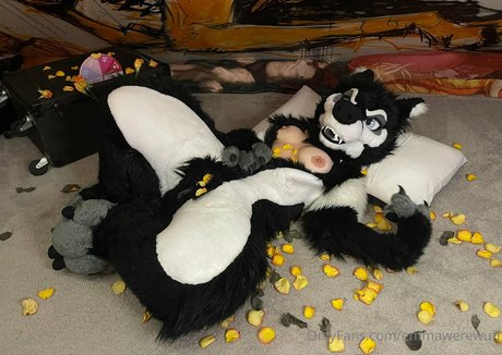 over 50 onlyfans pretty image