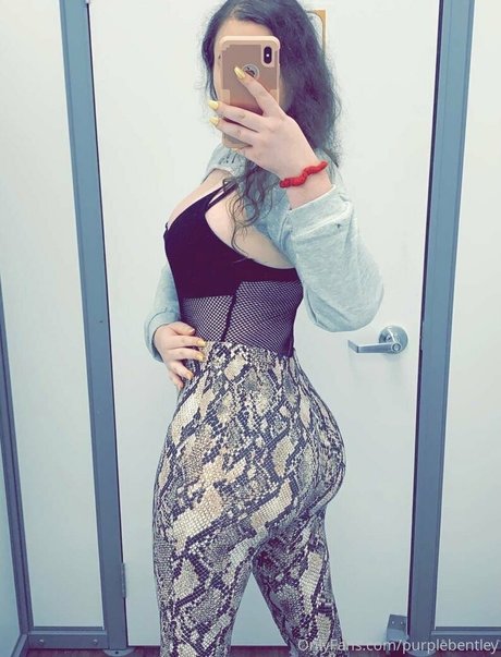 purplebentley art star photos