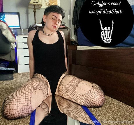 waspfree pornstar hd pictures