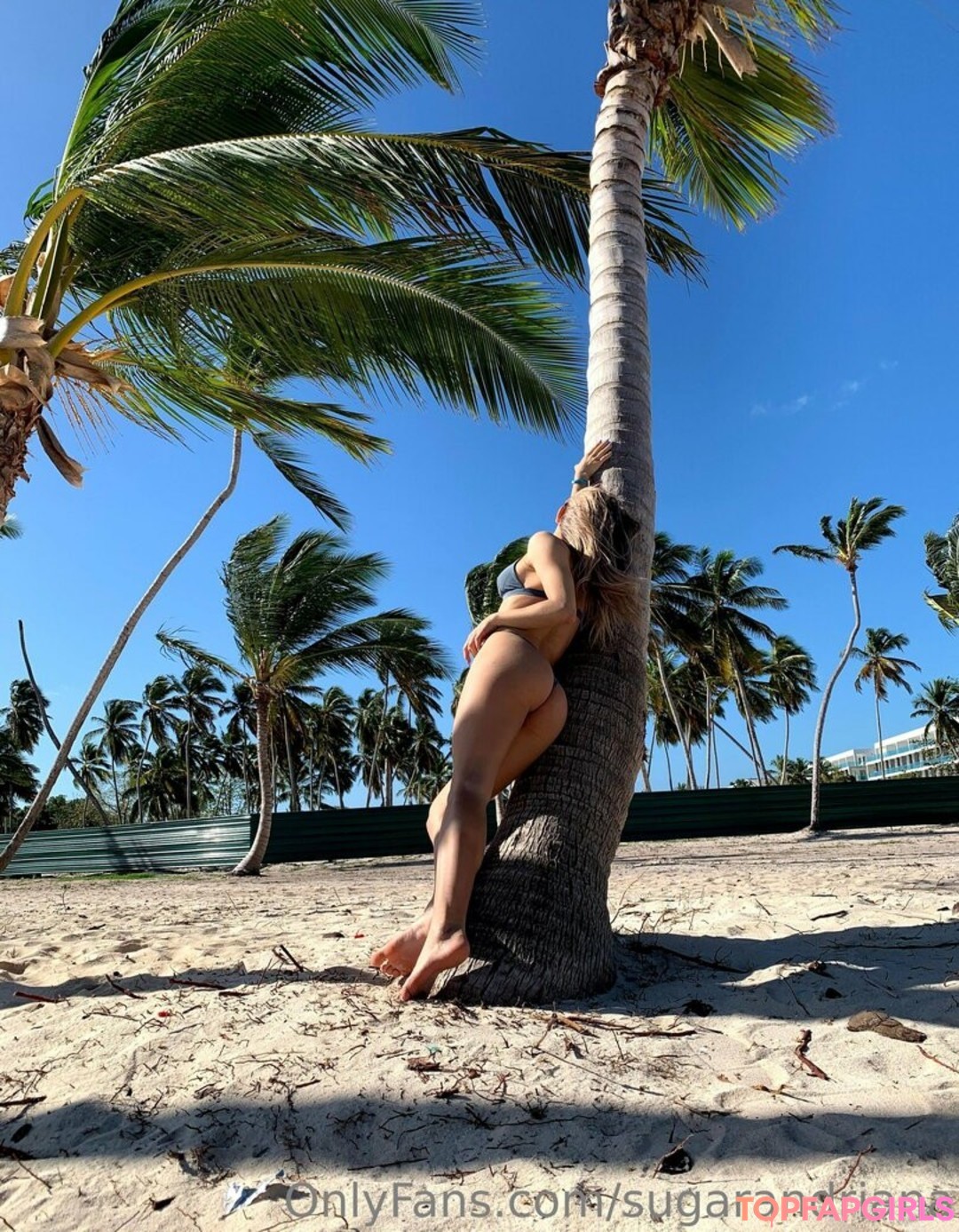 sugarandriana star nude image