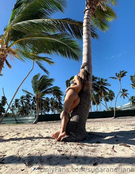 sugarandriana porn model pics