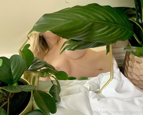 rosegoldxn pornstar hot pictures