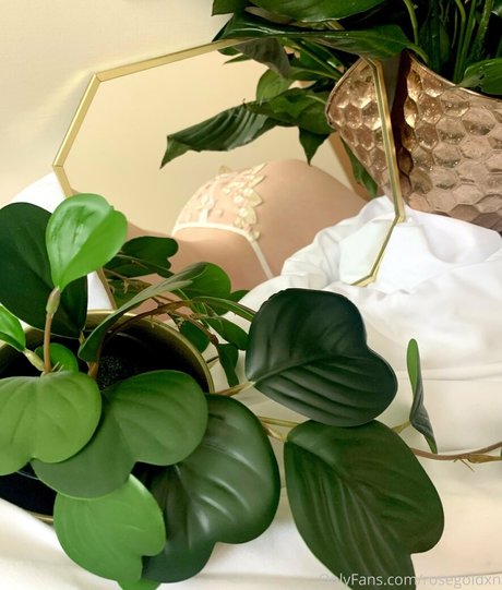 rosegoldxn pornstar nudes photo