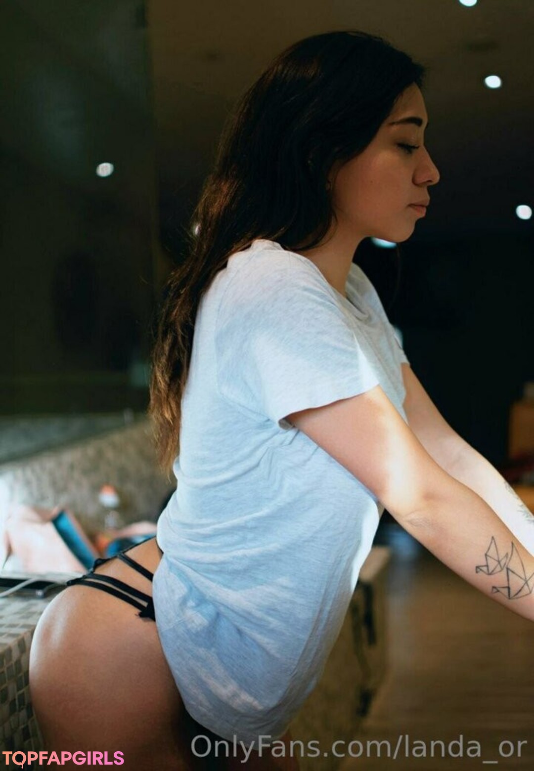 landa or pornstar art img