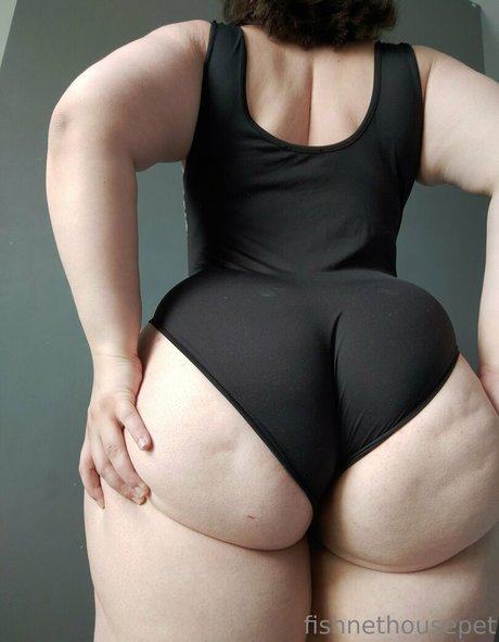 fishnethousepet naked pornstar img