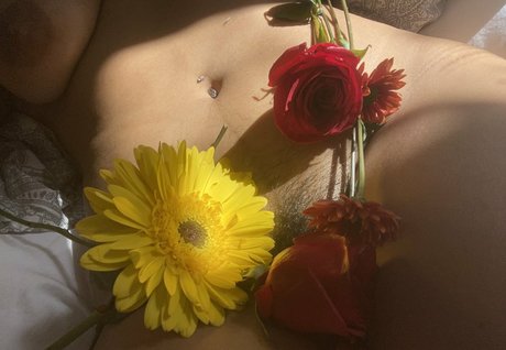 Droolydog sexy star picture