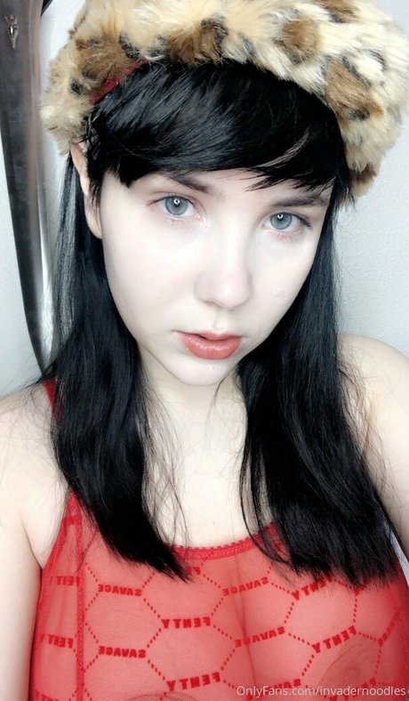 invadernoodles model best images