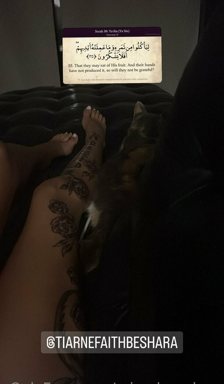 misschaneloxo pornstar adult photos