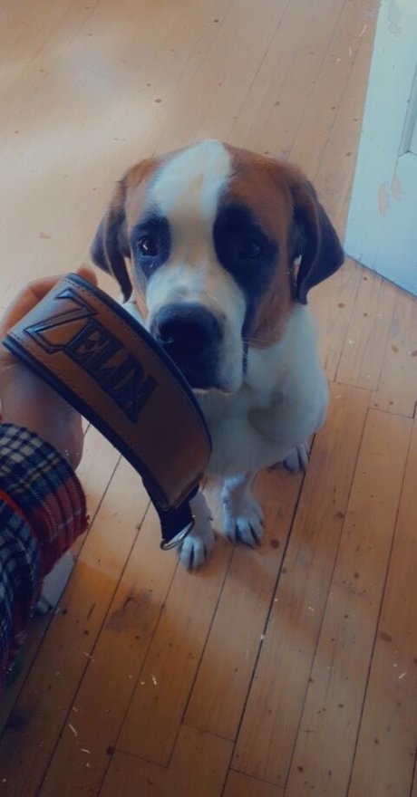 bigbootyisabella star naked gallery