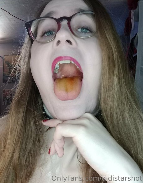 didistarshot hd model gallery