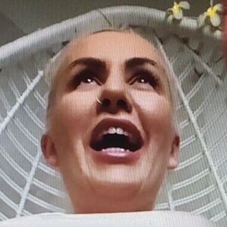 Herrydn art star images