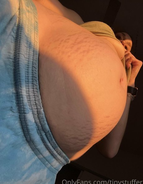 tinystuffer high quality pornstar pics