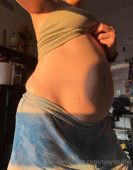 tinystuffer perfect pornstar img