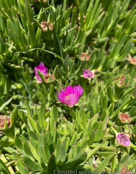 massage videos onlyfans beautiful archive