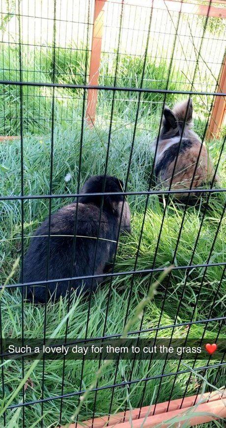 pretty ebony onlyfans exclusive archive