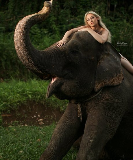 missarchers star porn pic