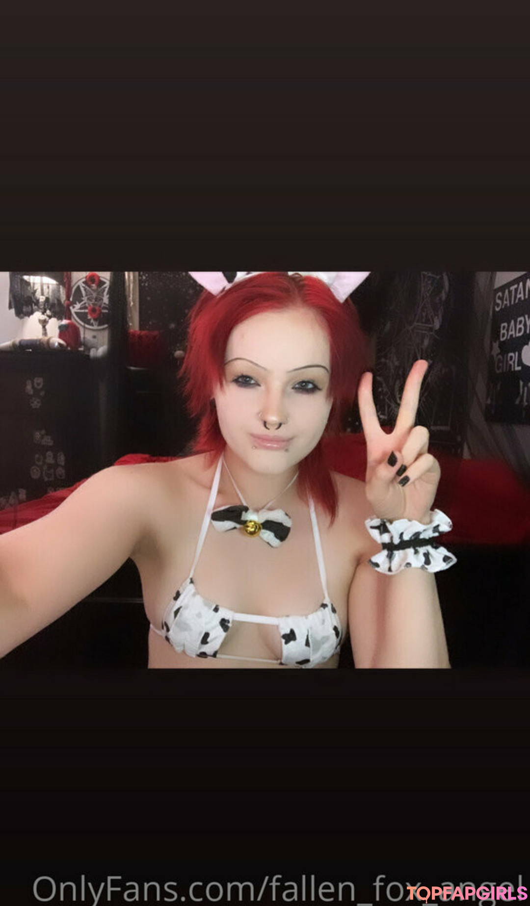 Fallen fox angel profile image