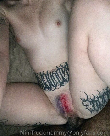 MiniTruckMommy free model img