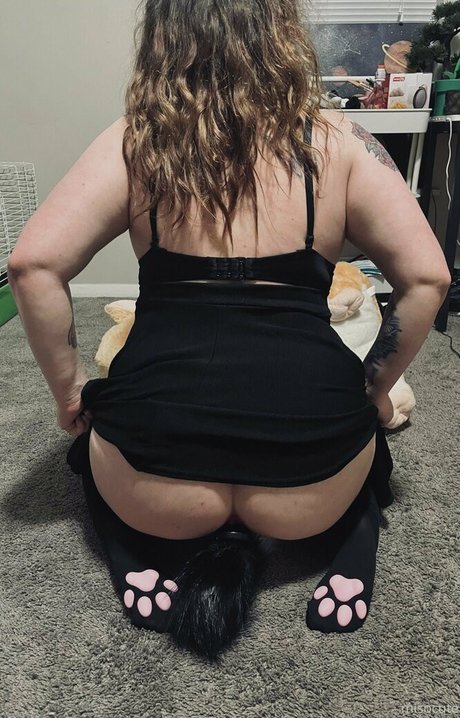 misocute sexy star archive