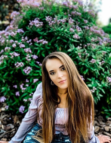 taylorherd02 model art archive