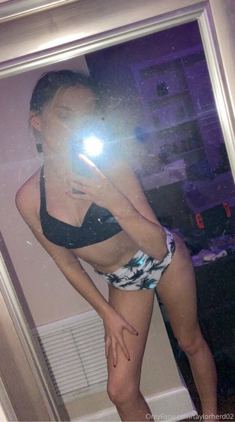 taylorherd02 art star gallery