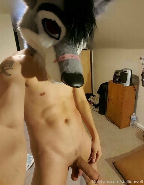 stallionwolf pornstar sex archive