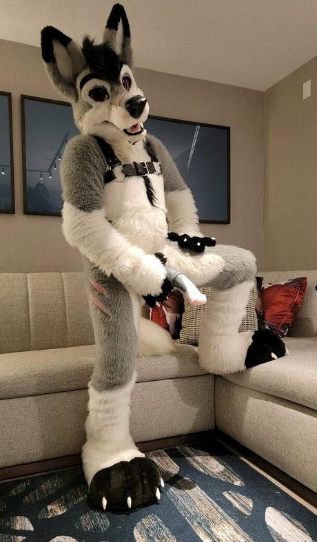 stallionwolf free actress pictures