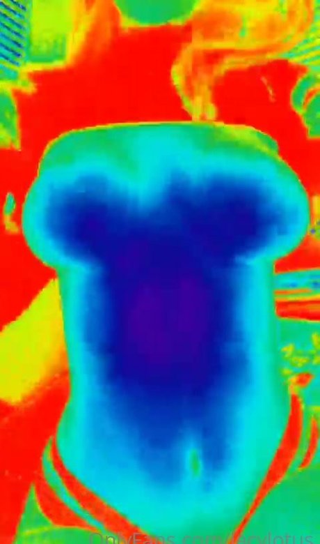 lacylotus star high quality img