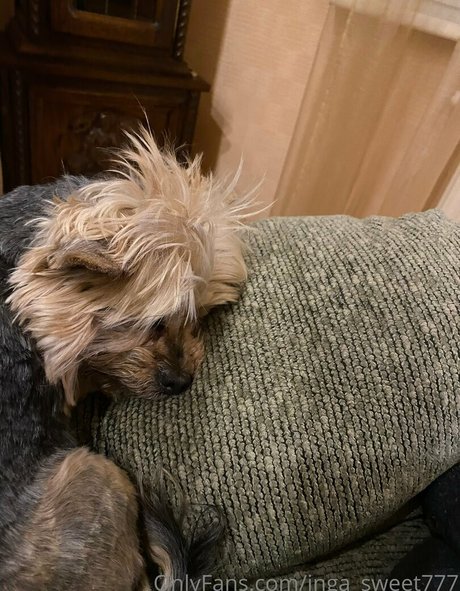 inga sweet777 nudes model galleries